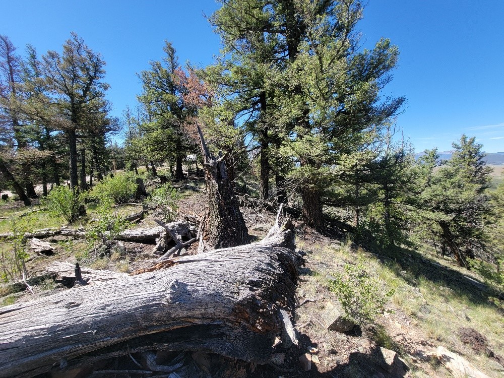 2471 Middle Fork Vista Property Photo 43