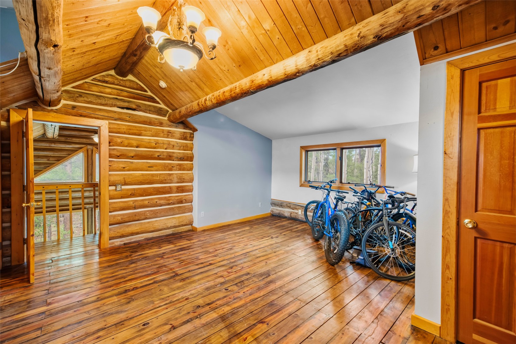 58 Muhly Court Property Photo 16