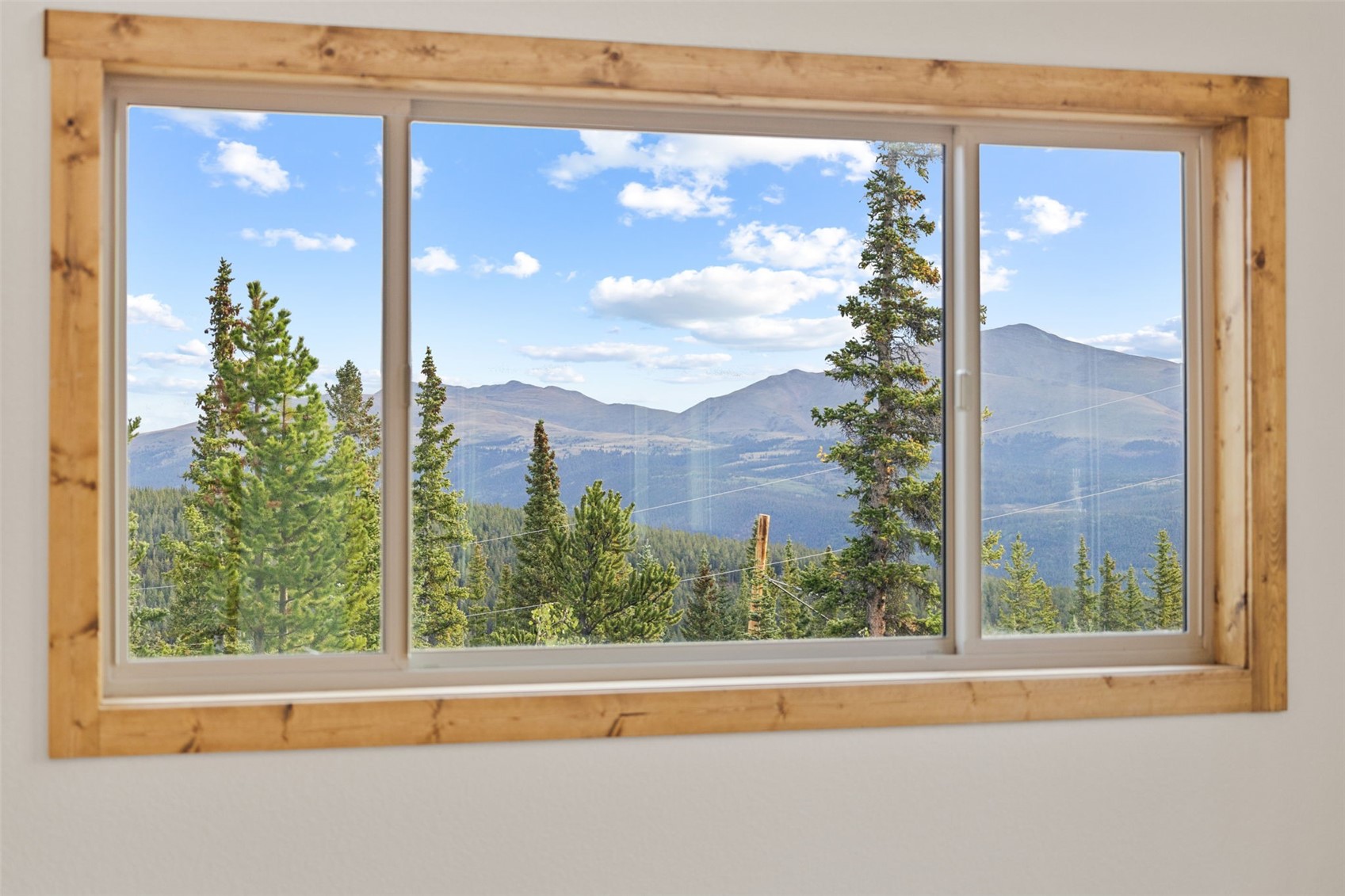 385 Silverheels Place Property Photo 22