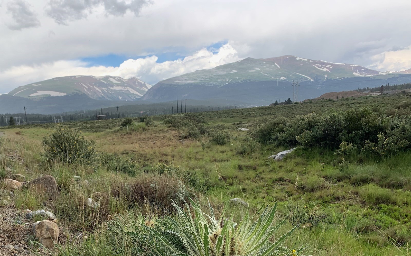 64 Glissade Trail Property Photo 8