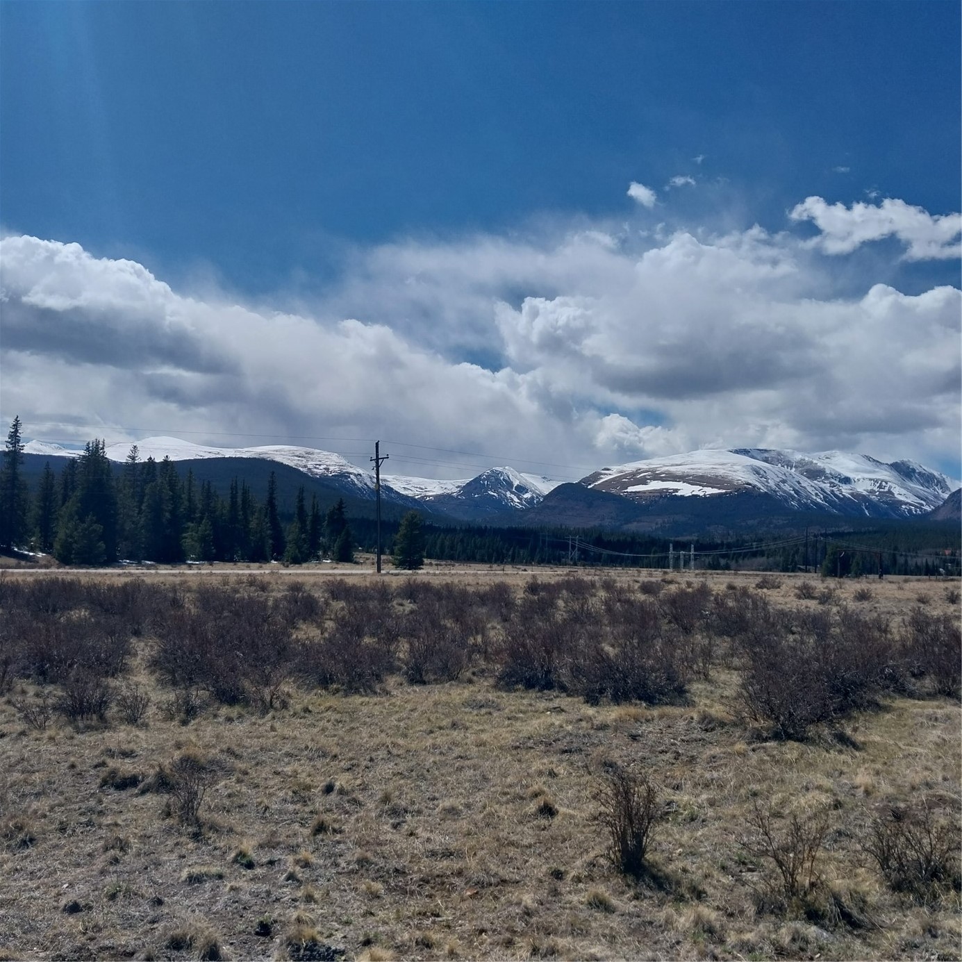 64 Glissade Trail Property Photo 11
