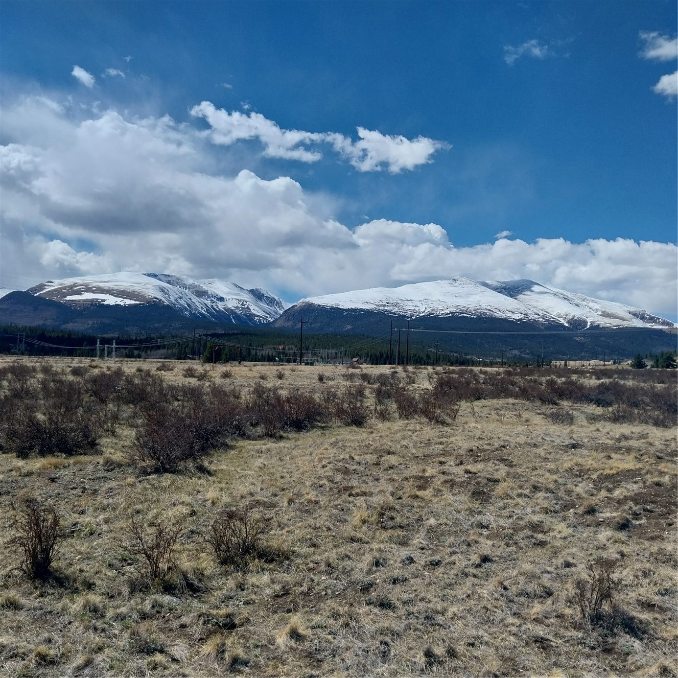 64 Glissade Trail Property Photo 12