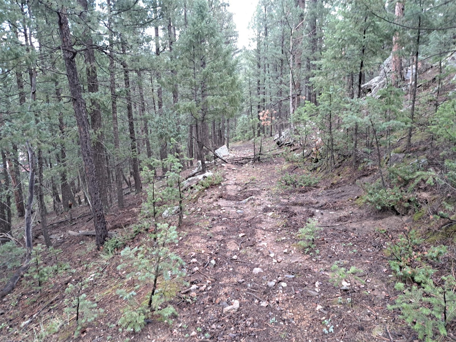 360 Hi Meadow Drive Property Photo 1