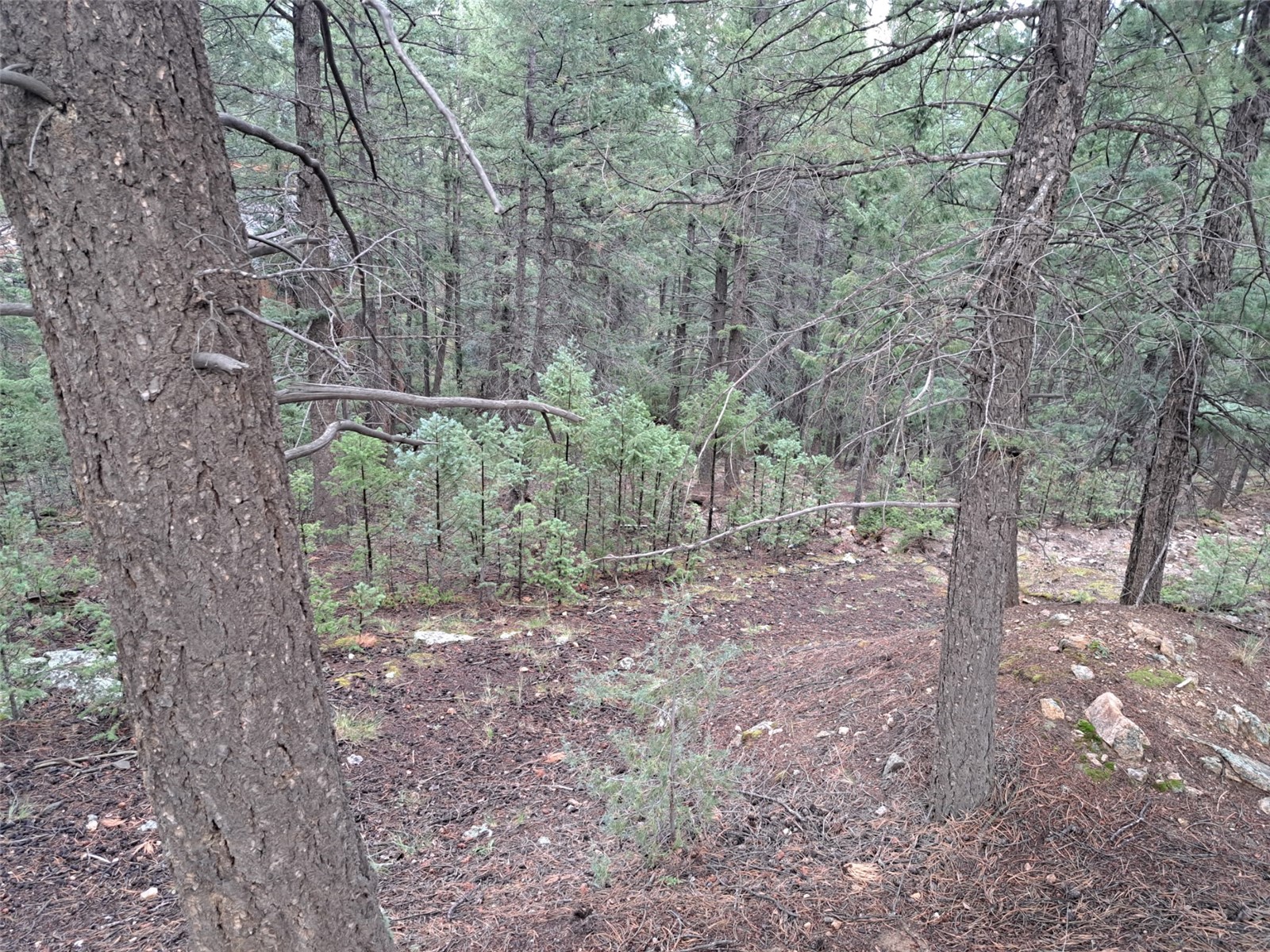 360 Hi Meadow Drive Property Photo 3