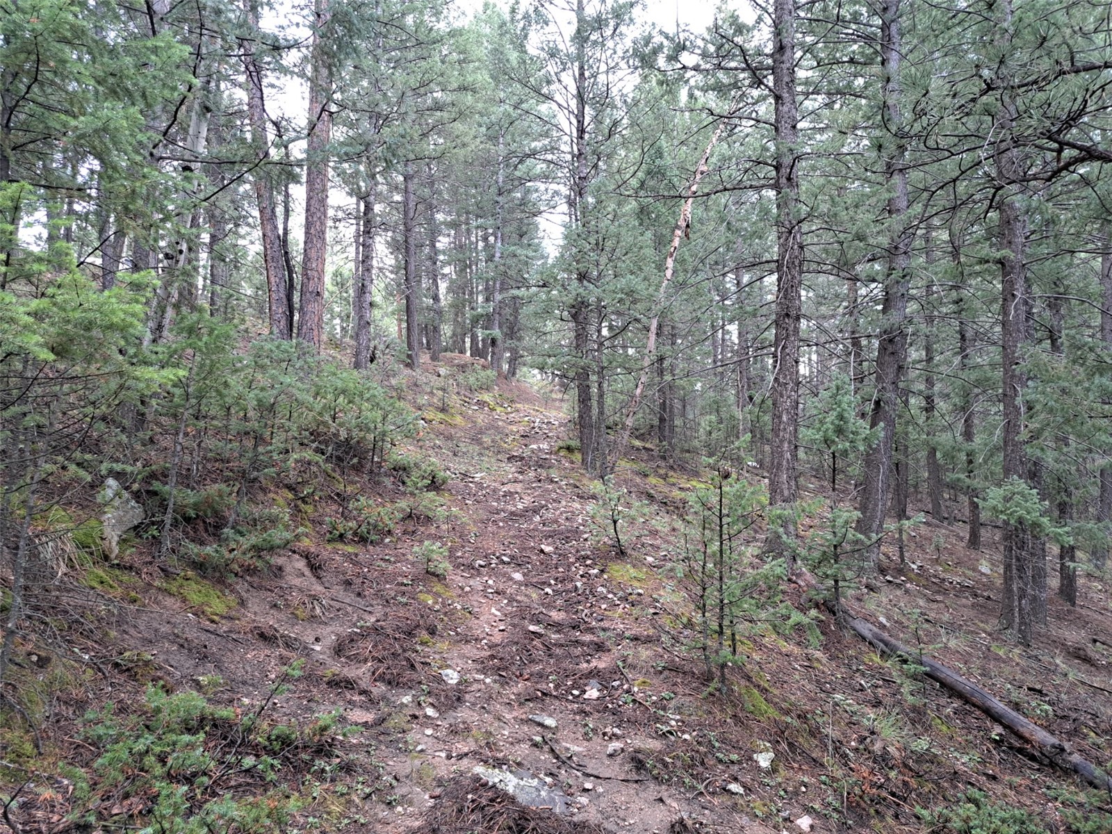 360 Hi Meadow Drive Property Photo 5