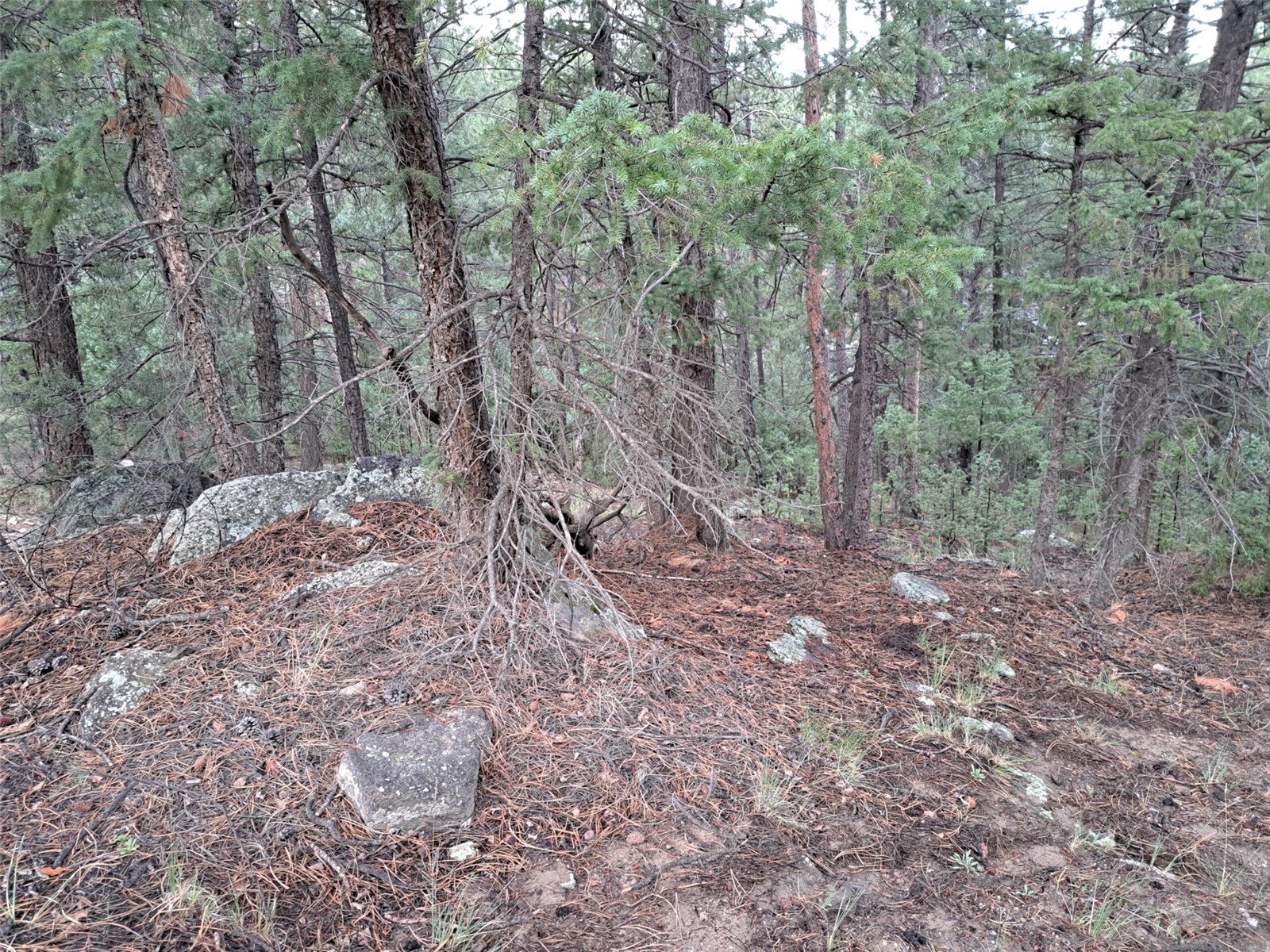 360 Hi Meadow Drive Property Photo 6