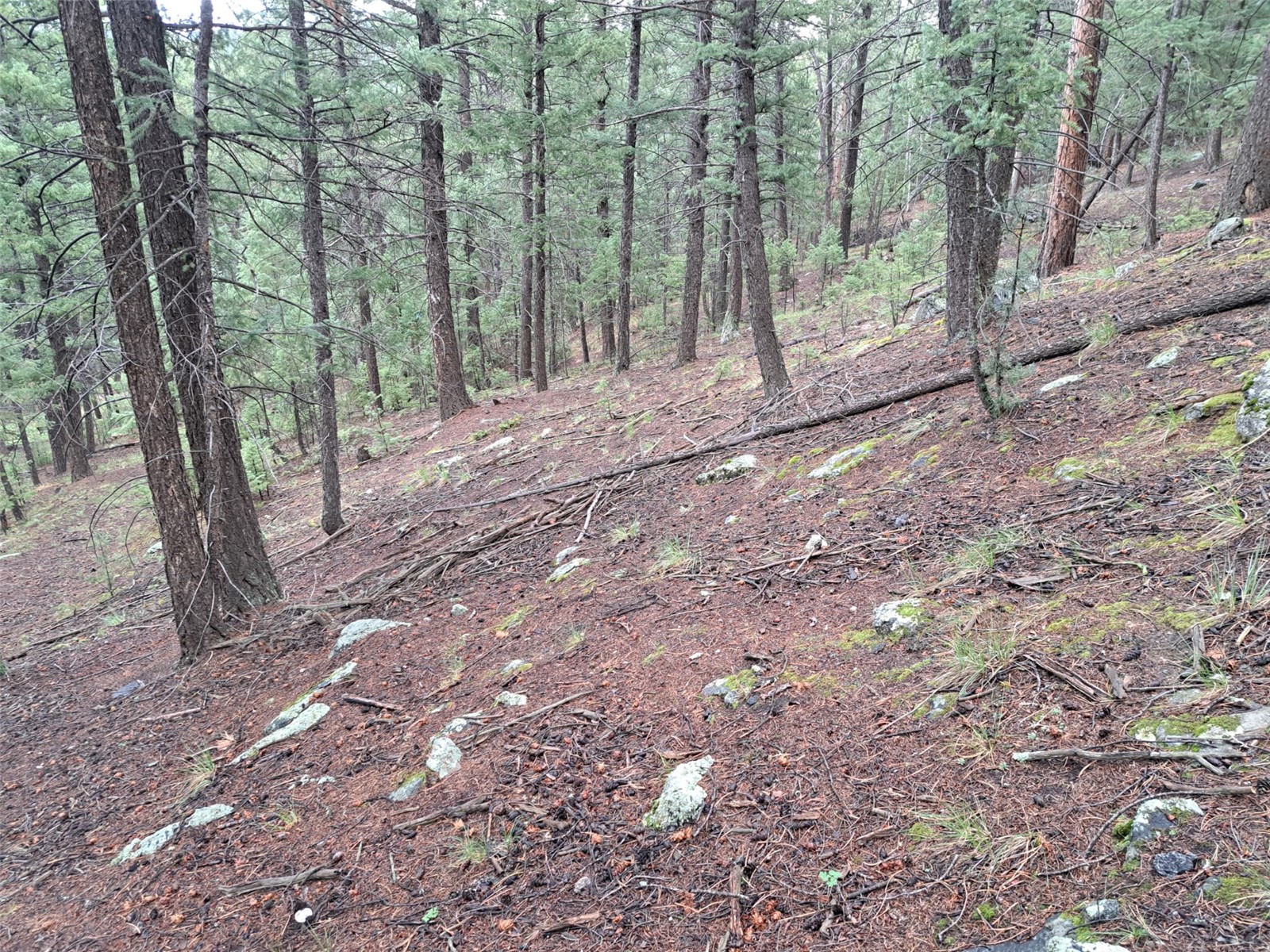 360 Hi Meadow Drive Property Photo 7