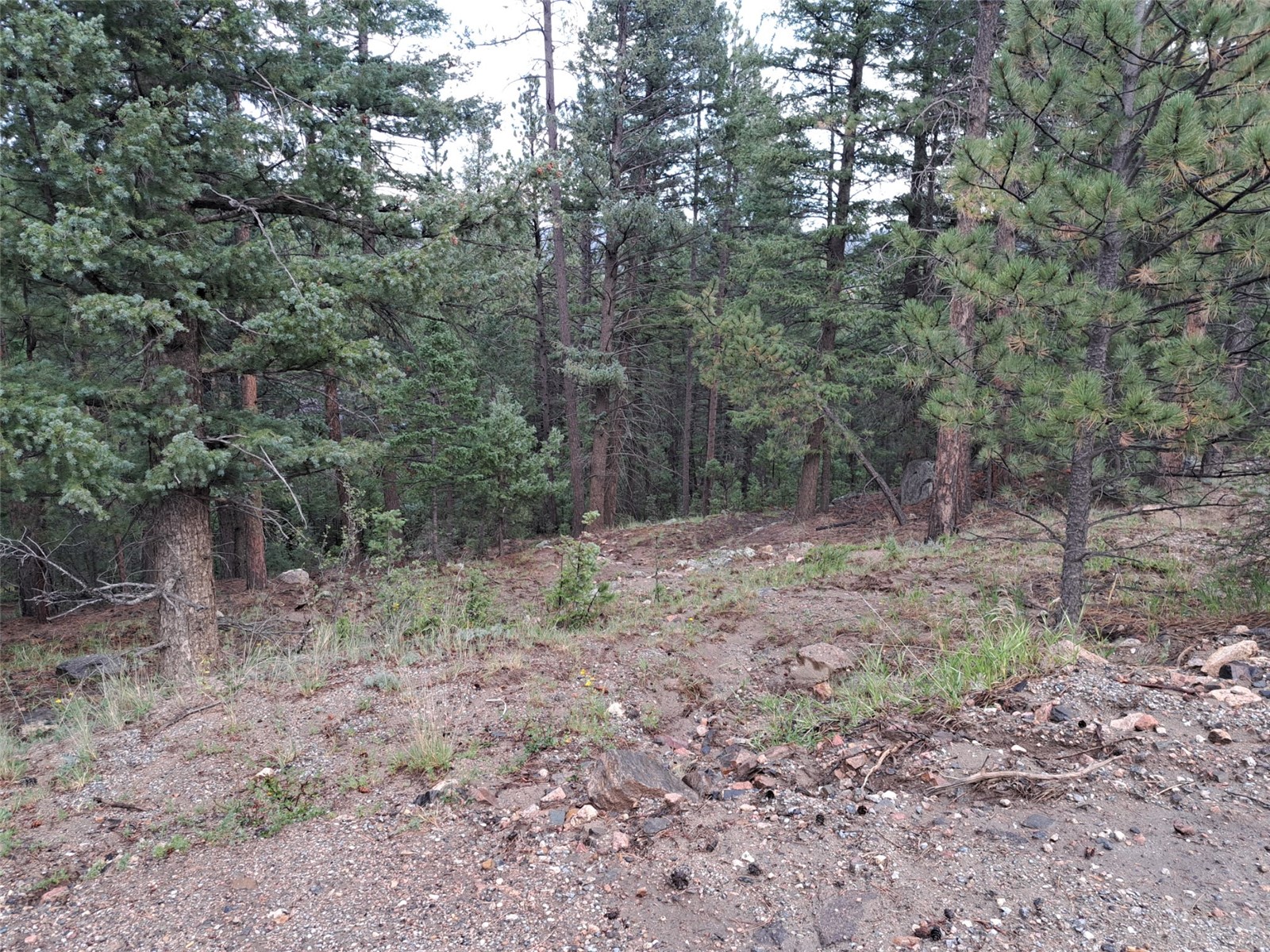 360 Hi Meadow Drive Property Photo 8