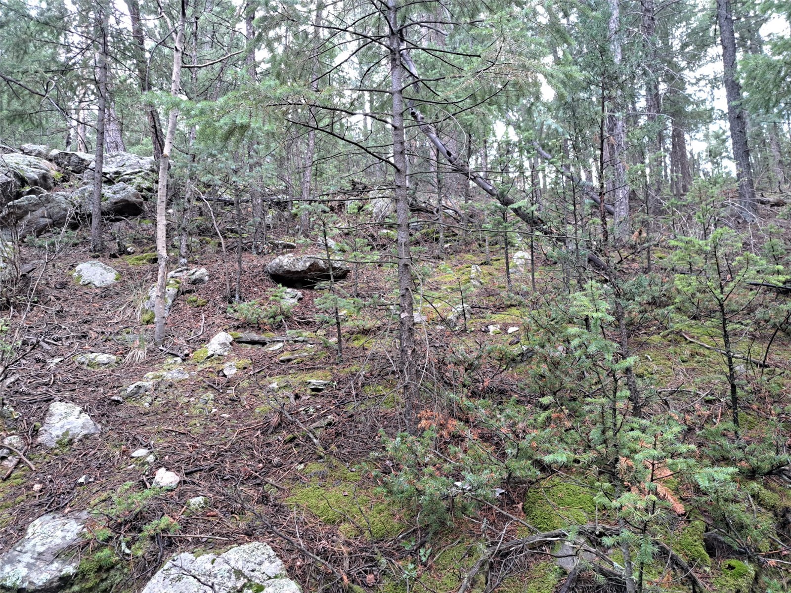 360 Hi Meadow Drive Property Photo 13
