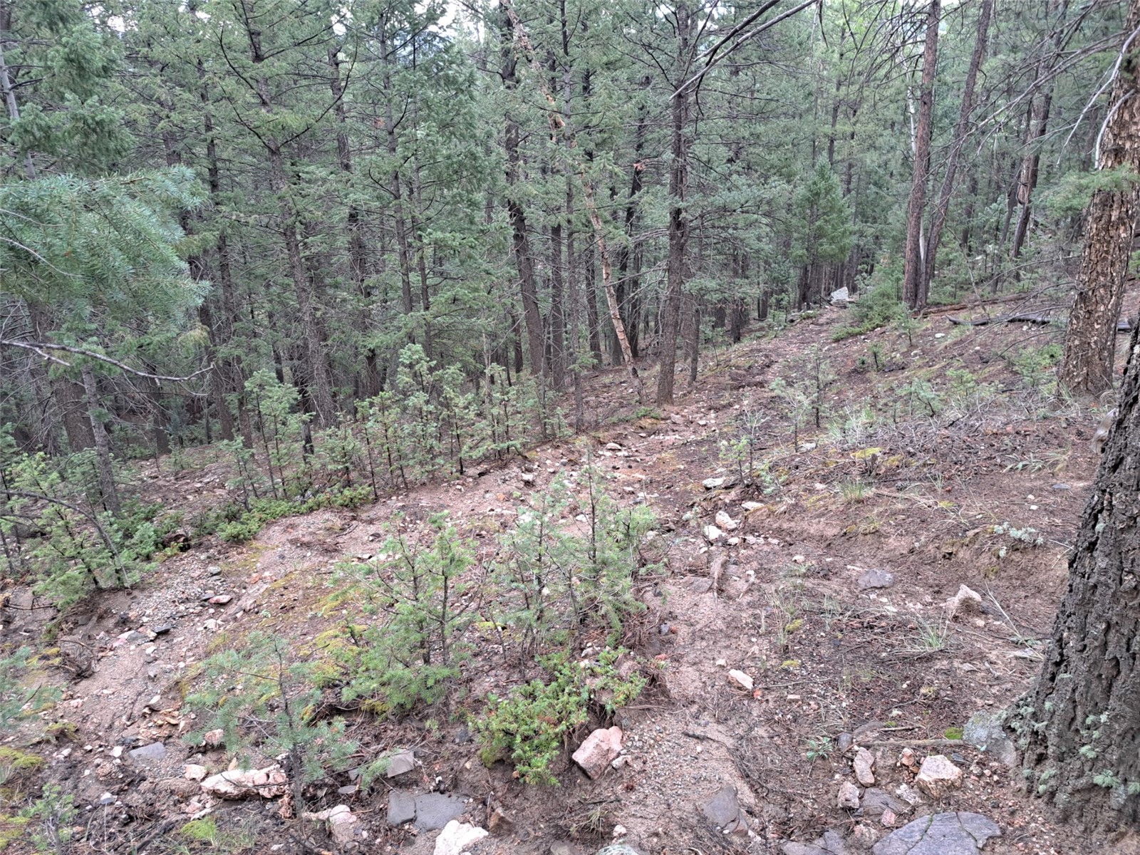 360 Hi Meadow Drive Property Photo 17
