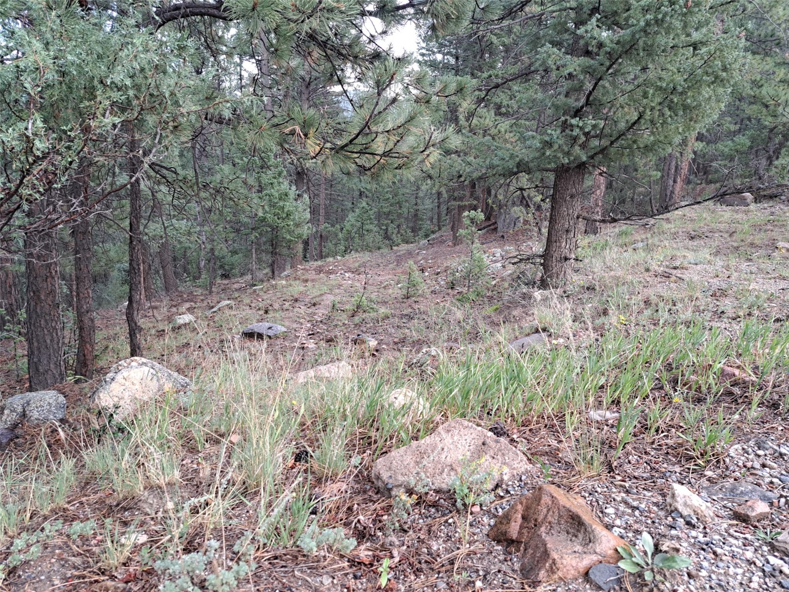 360 Hi Meadow Drive Property Photo 18