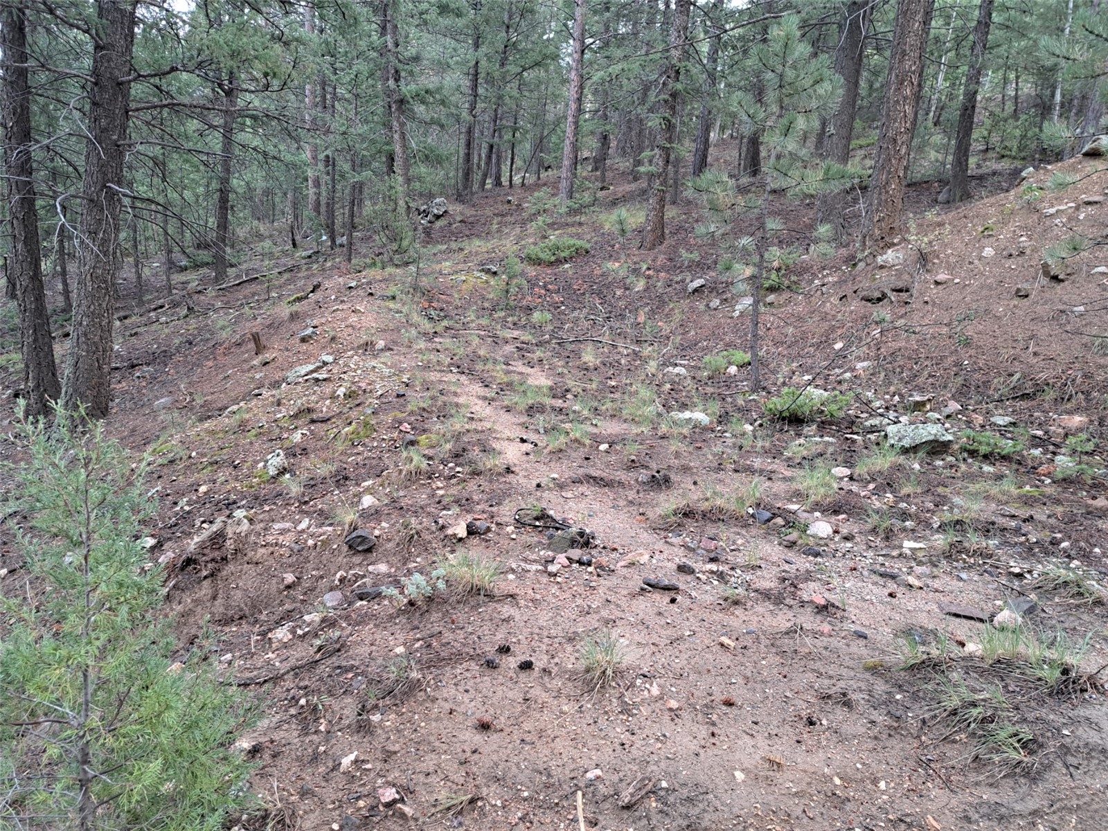 360 Hi Meadow Drive Property Photo 19
