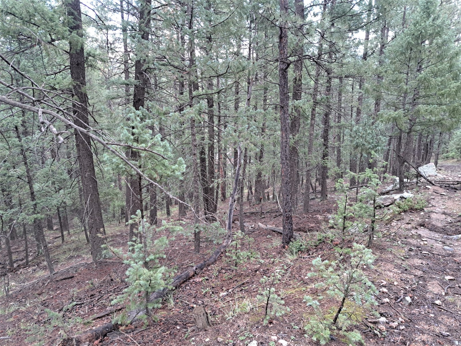 360 Hi Meadow Drive Property Photo 21