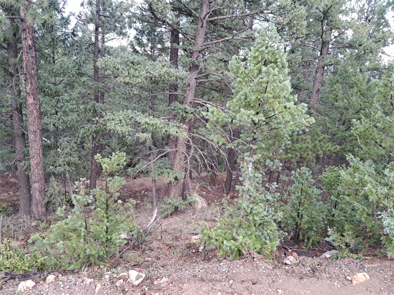 360 Hi Meadow Drive Property Photo 23