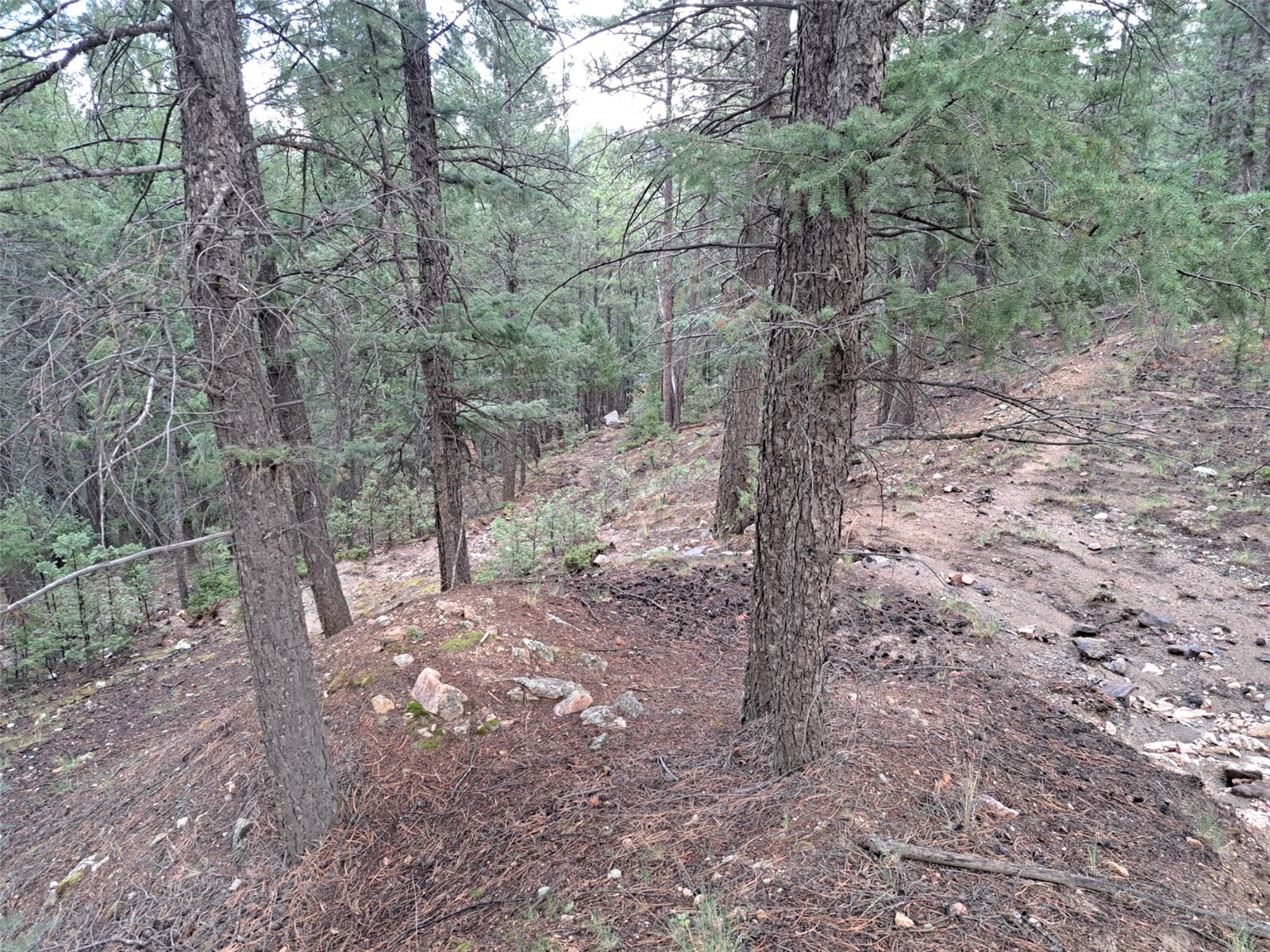 360 Hi Meadow Drive Property Photo 24