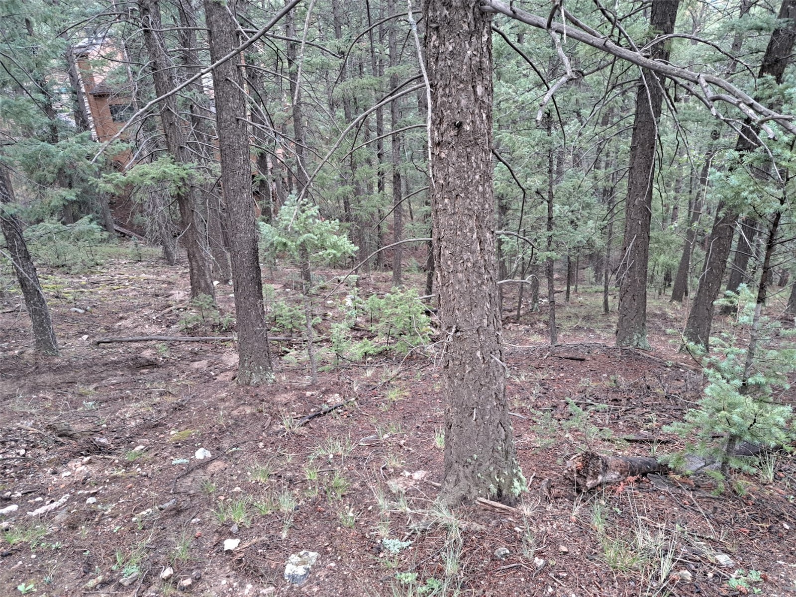 360 Hi Meadow Drive Property Photo 28