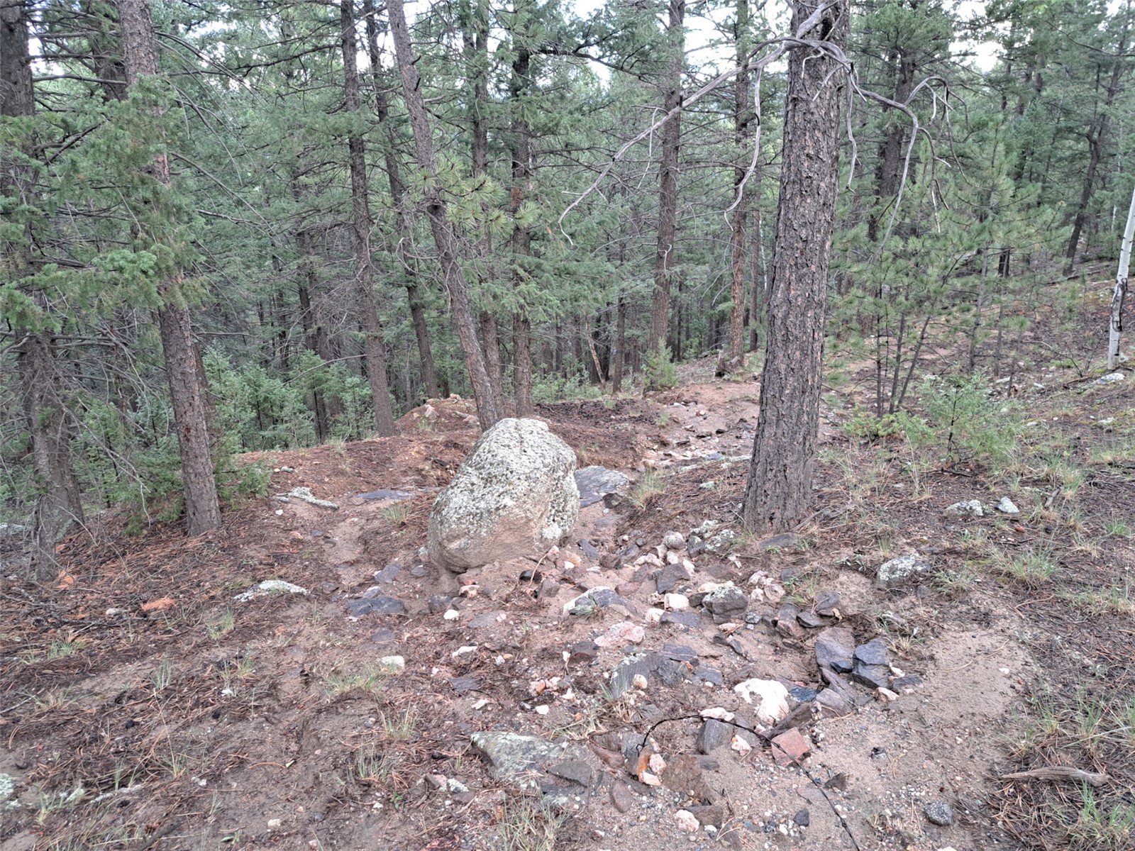 360 Hi Meadow Drive Property Photo 29