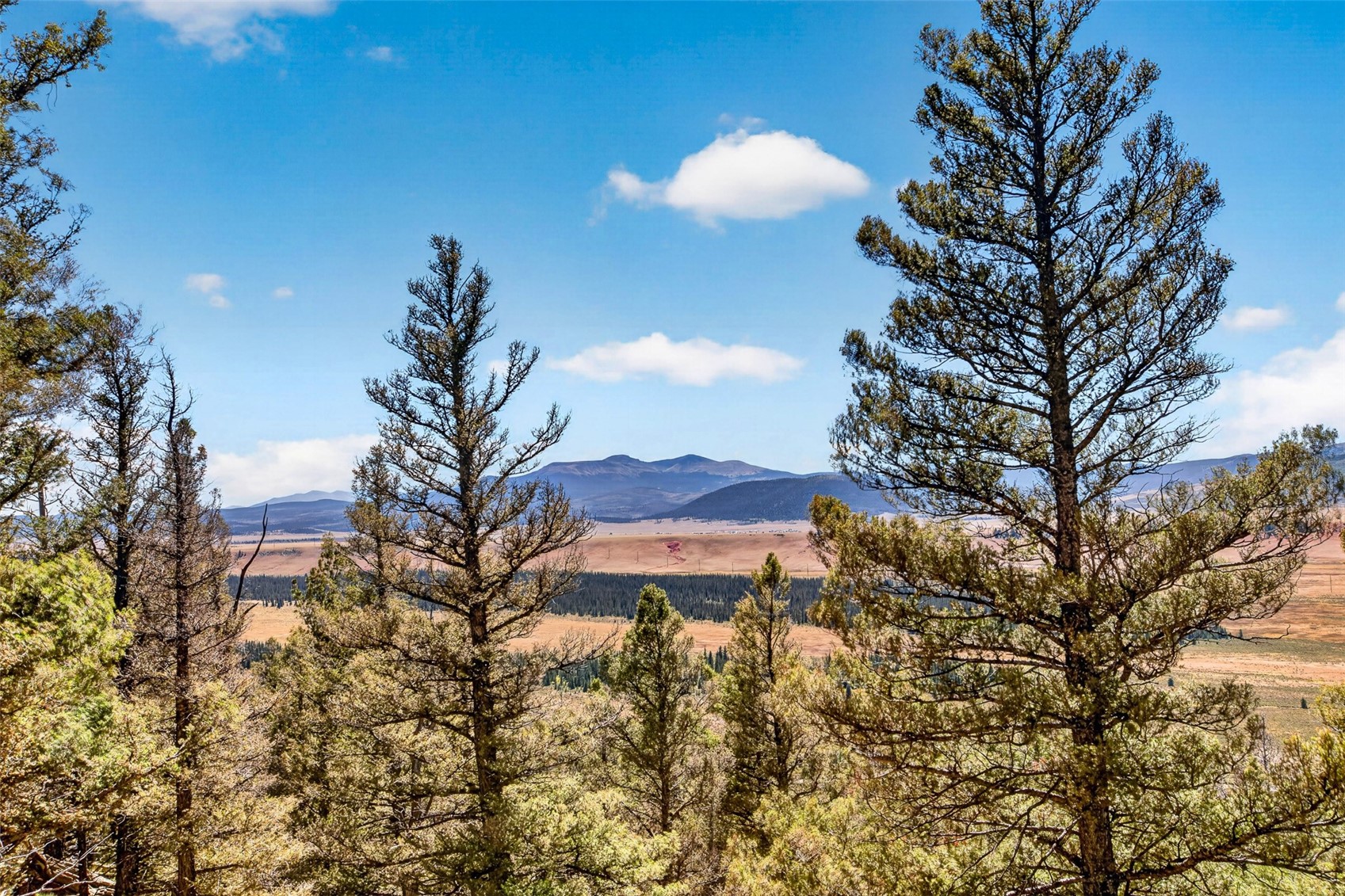 2189 Middle Fork Vista Property Photo 25