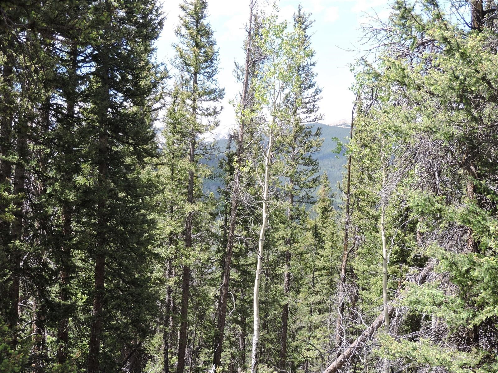 00 Georgia Pass Lookout Property Photo 1