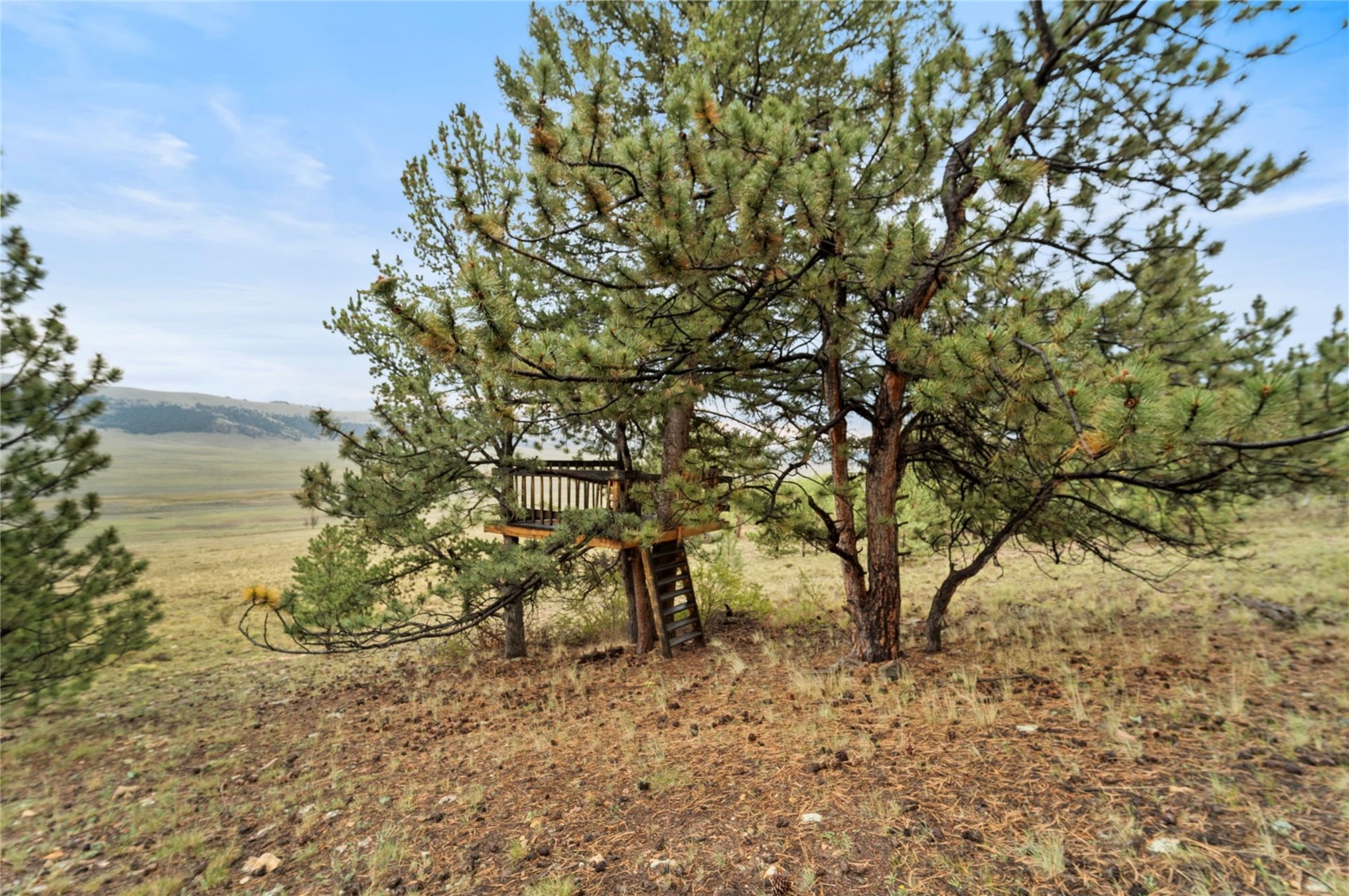 2578 Redhill Road Property Photo 40