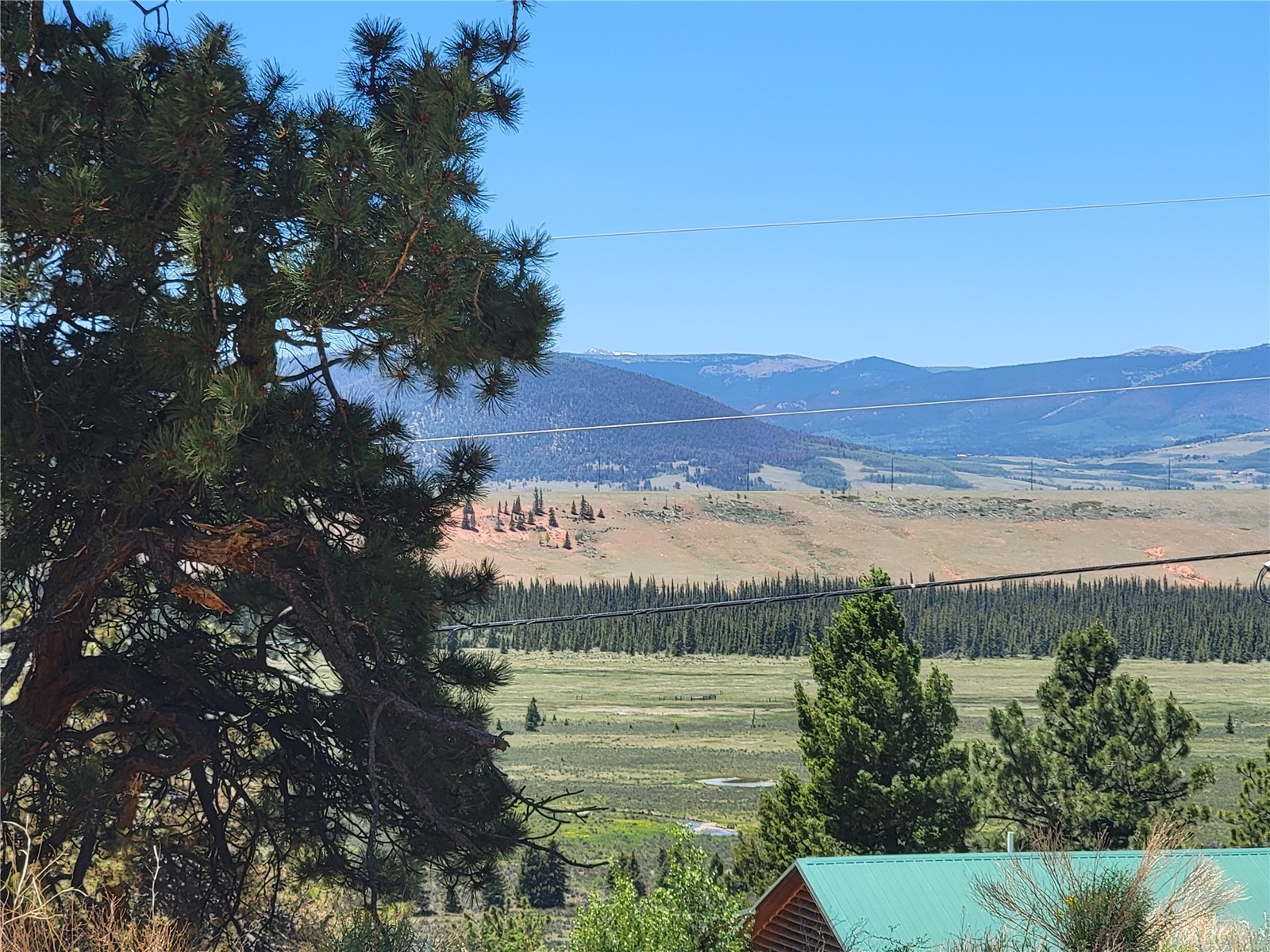 1368 Bonell Drive Property Photo 45