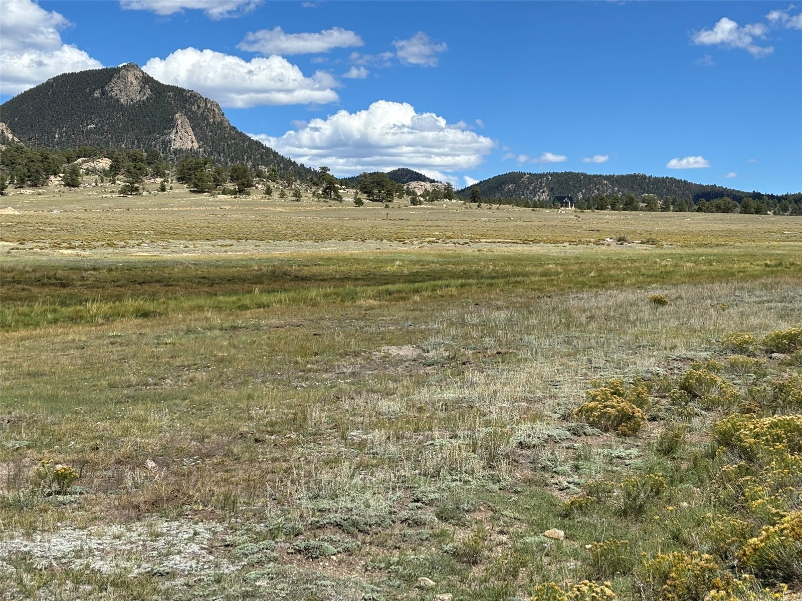 11065 Larimer Road Property Photo 3
