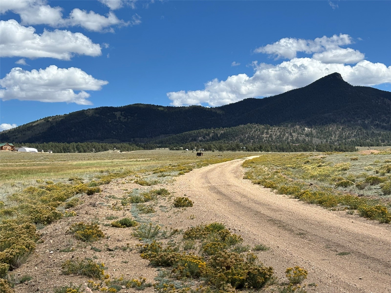 11065 Larimer Road Property Photo 12
