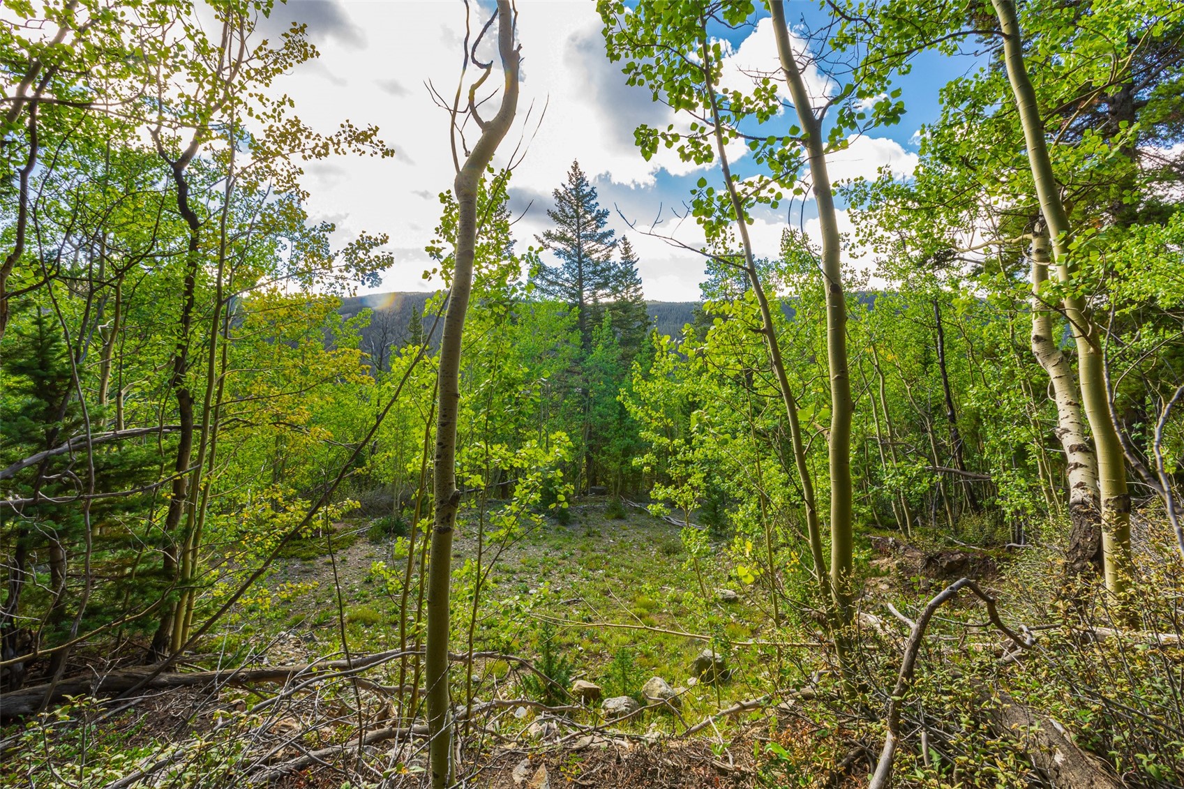 1238 Quartzville Property Photo 10