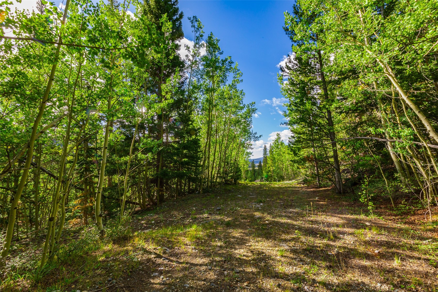 1238 Quartzville Property Photo 12