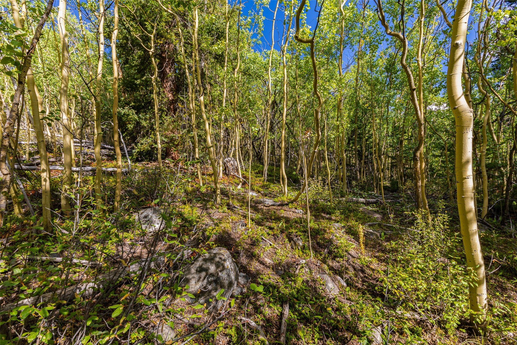 1238 Quartzville Property Photo 32