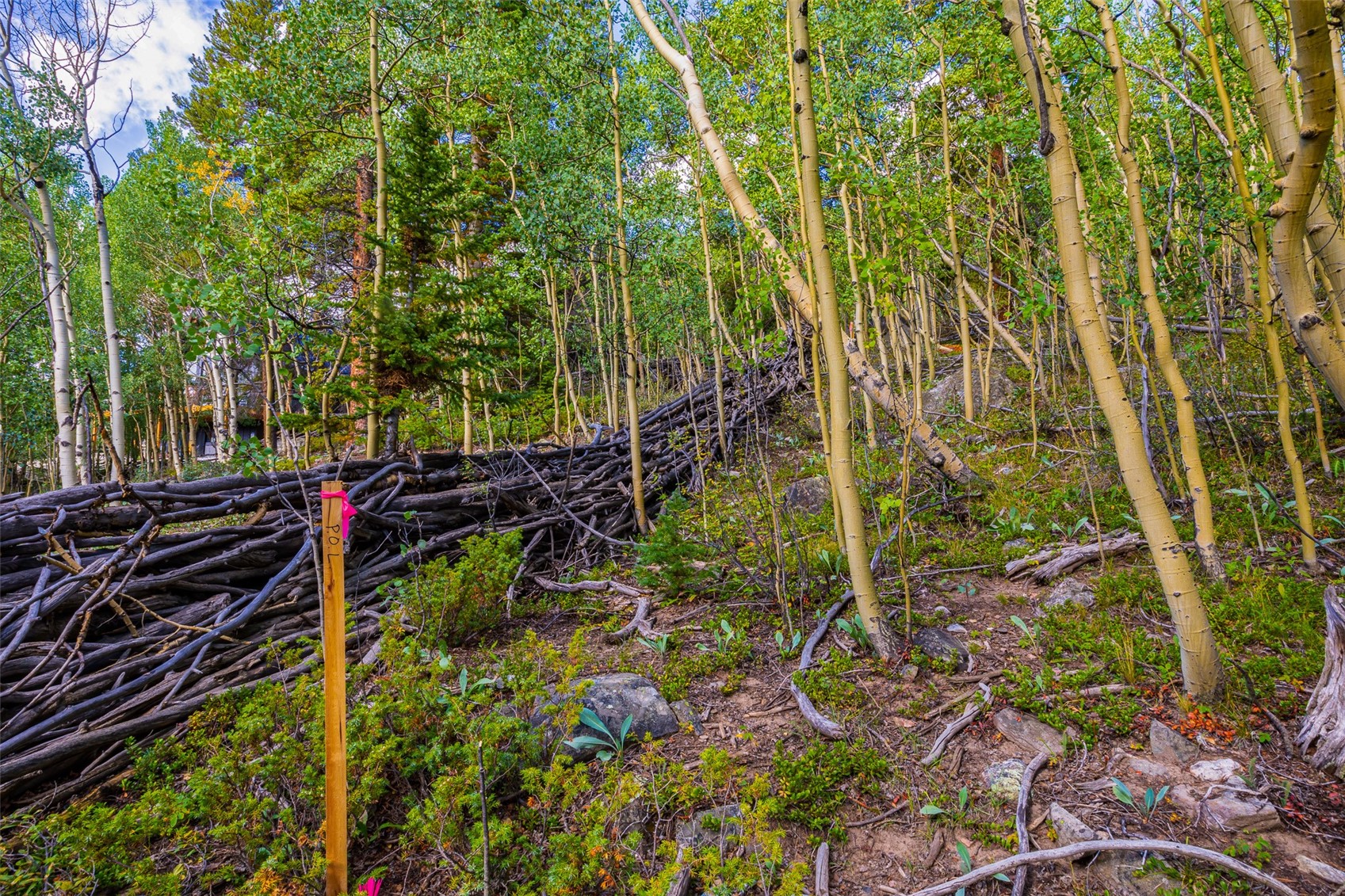 1238 Quartzville Property Photo 34