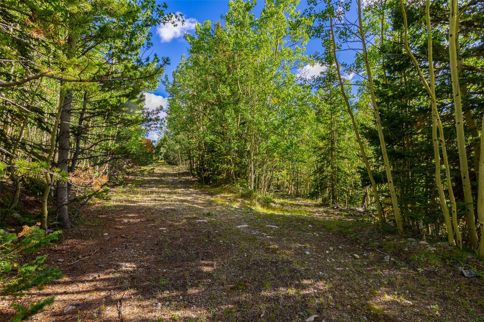 1238 Quartzville Property Photo 38