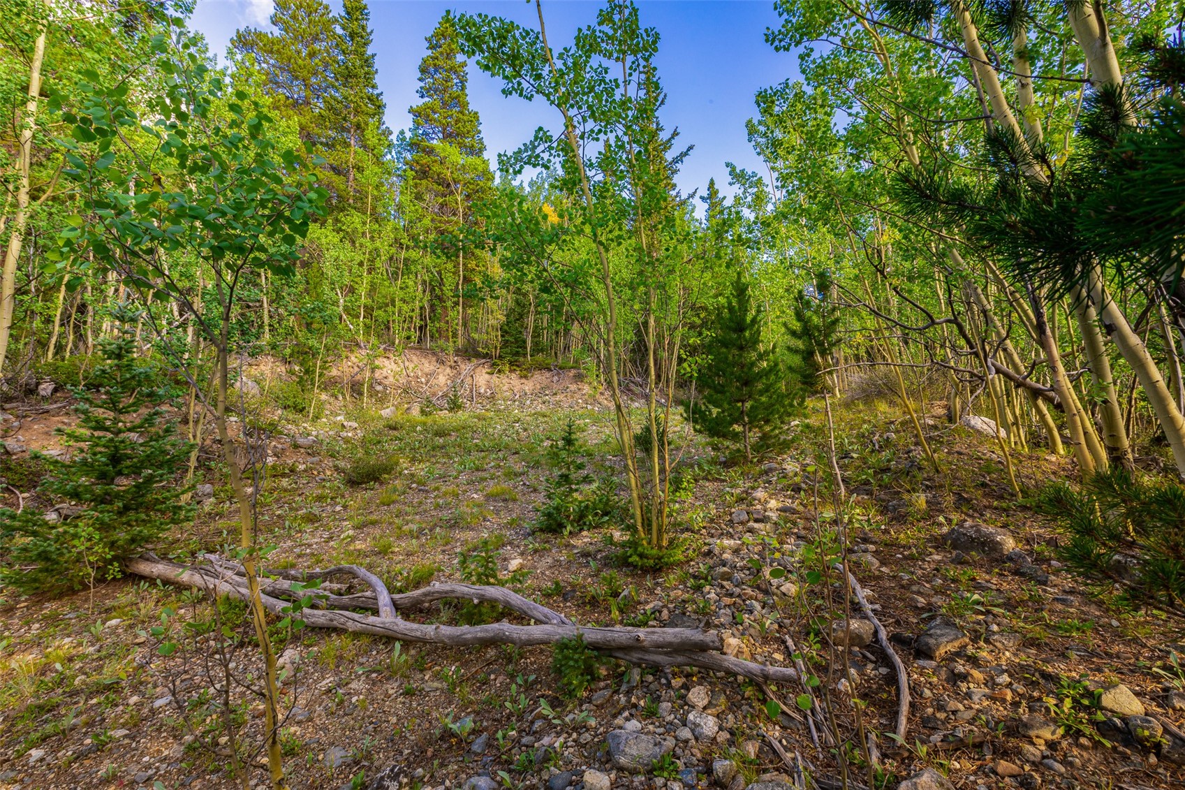 1238 Quartzville Property Photo 40