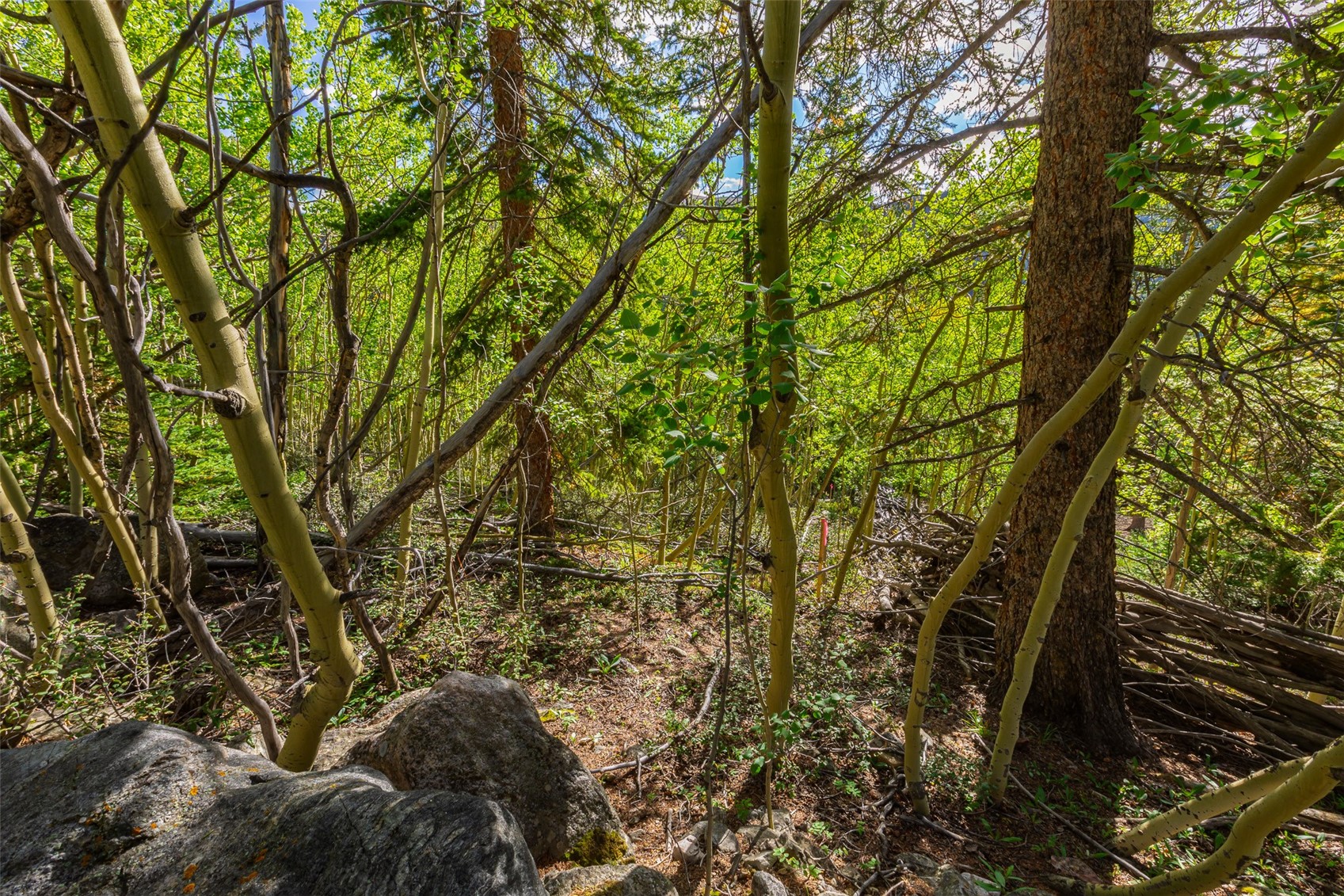1238 Quartzville Property Photo 41