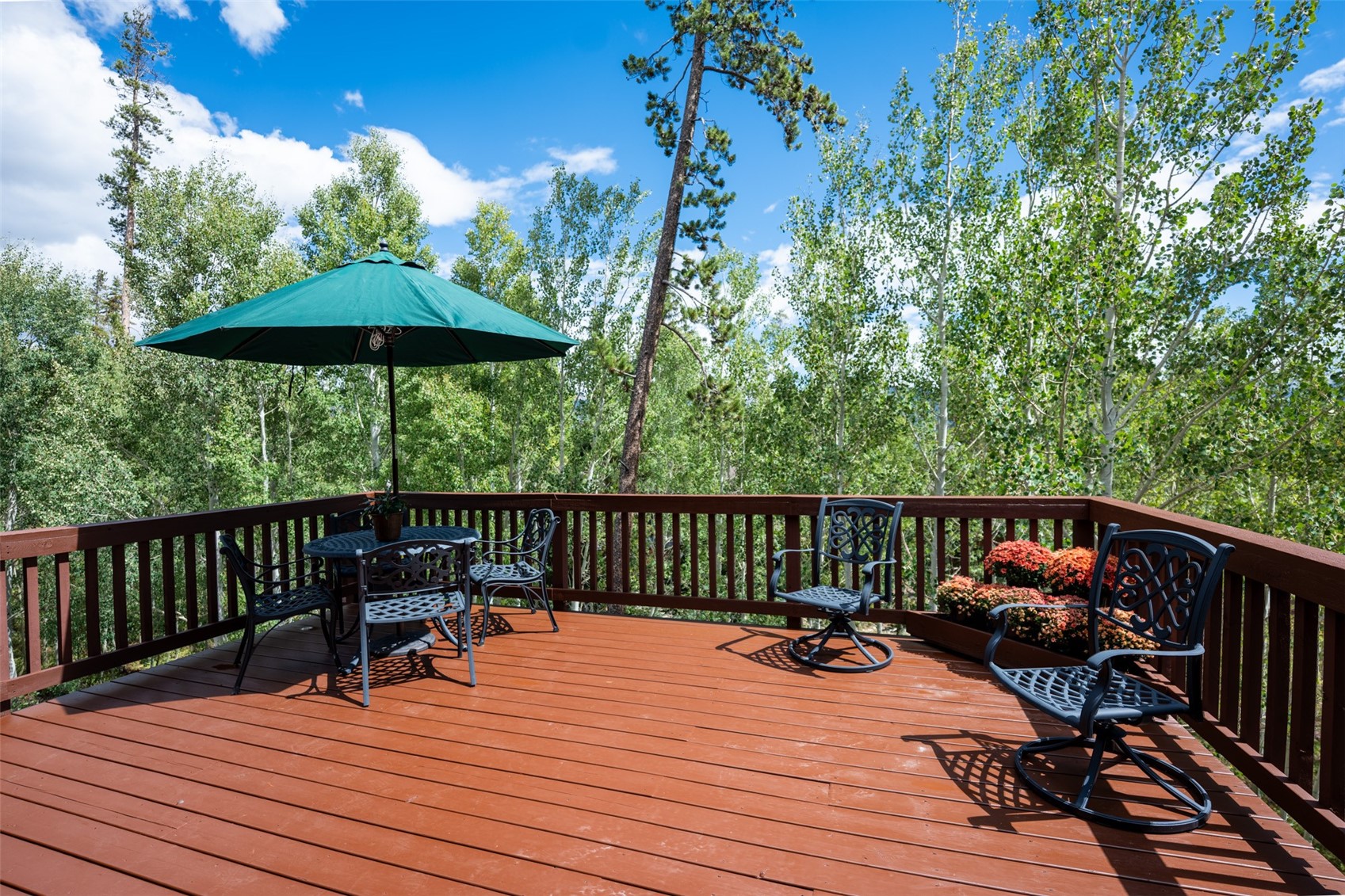 186 Spring Beauty Drive Property Photo 25