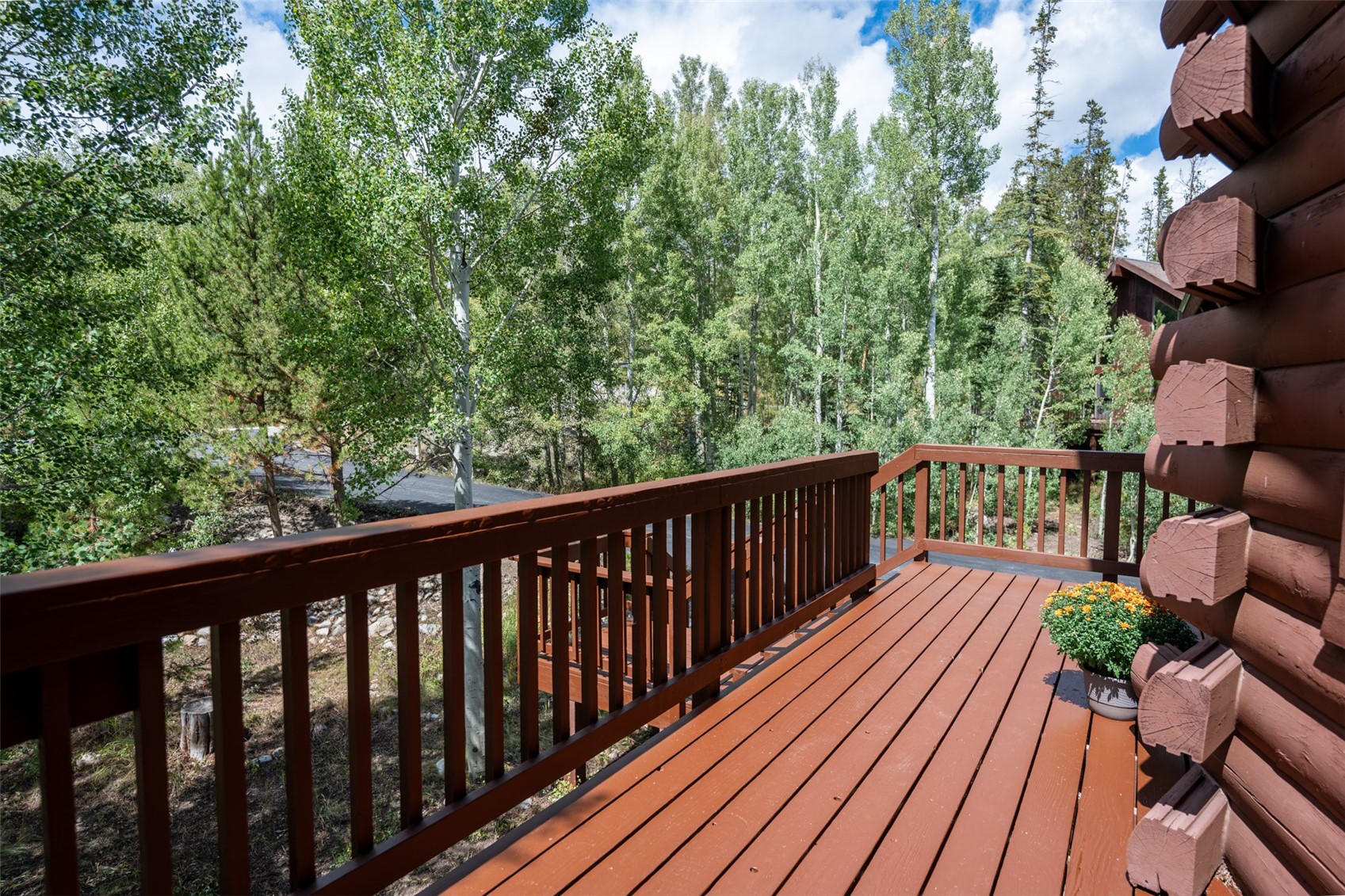 186 Spring Beauty Drive Property Photo 27