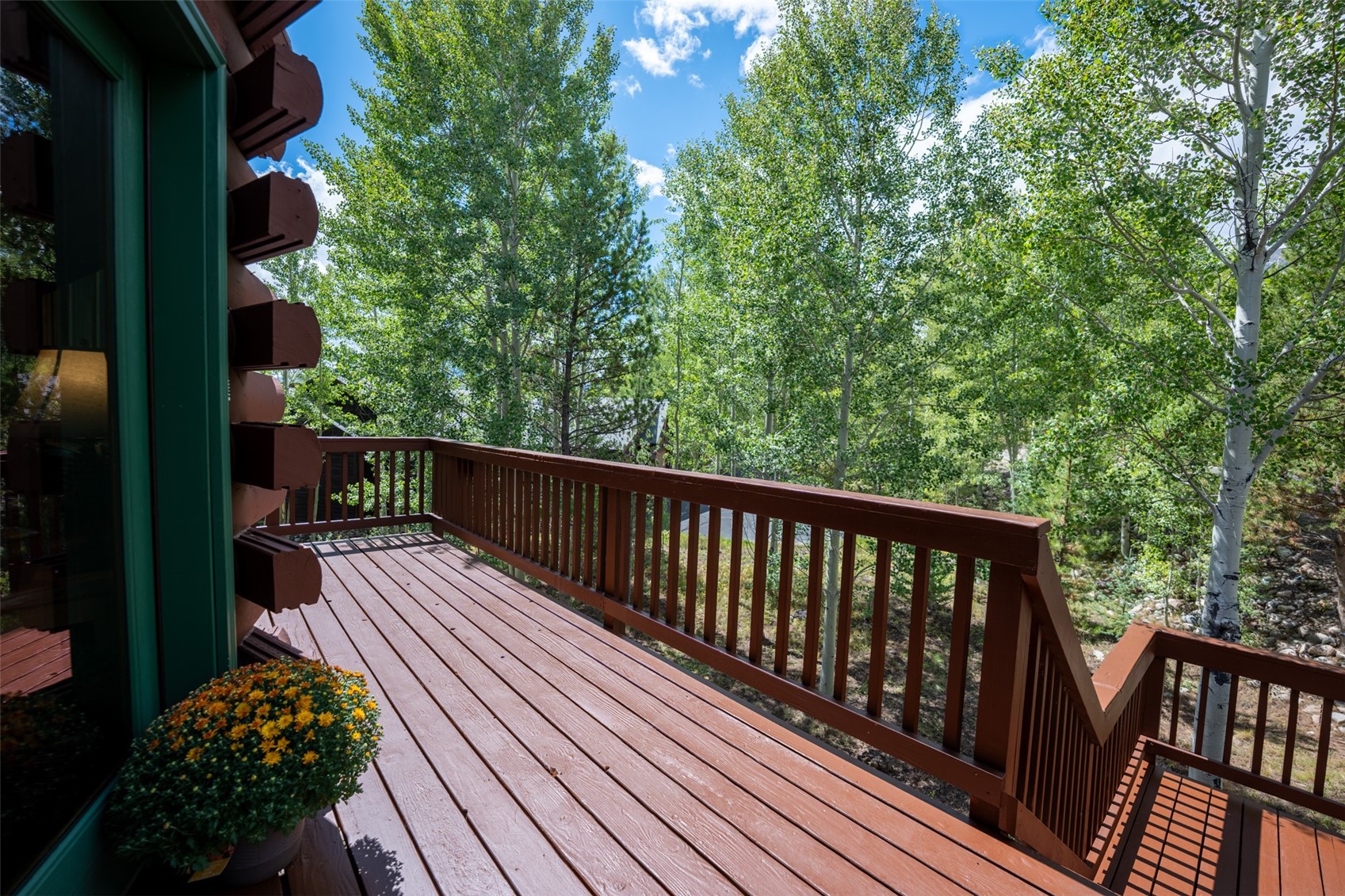 186 Spring Beauty Drive Property Photo 28