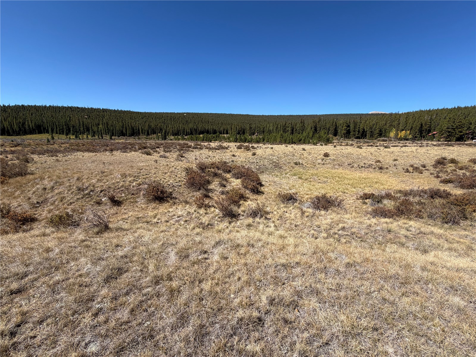 Tbd Lakeside Drive Property Photo 8