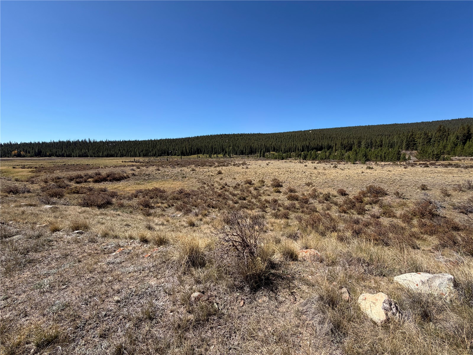 Tbd Lakeside Drive Property Photo 10