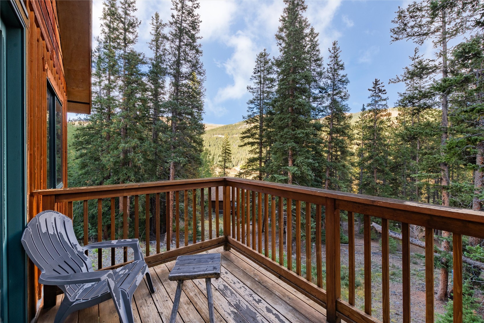 253 Ute Trail Property Photo 23