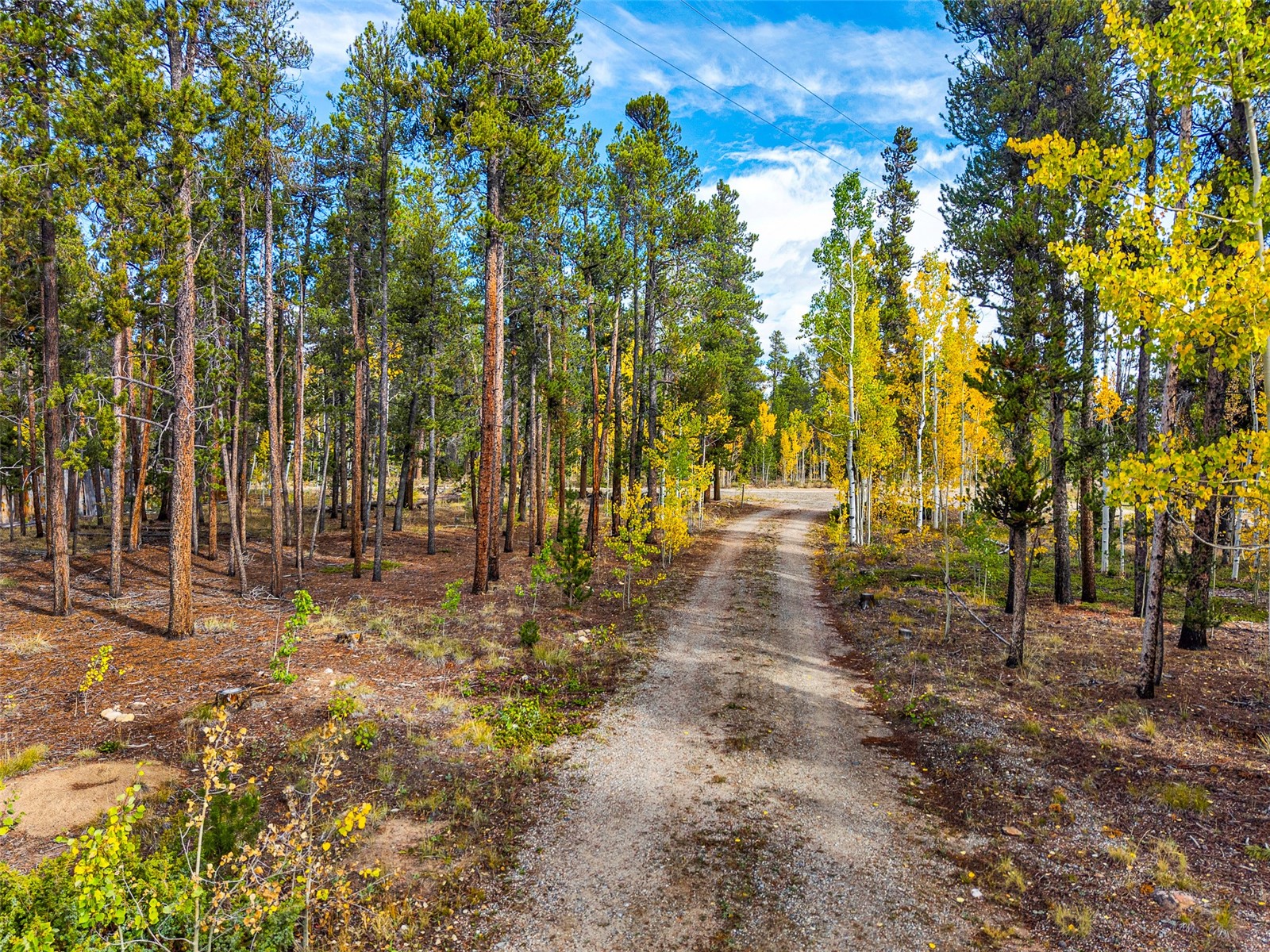 768 Coil Drive Property Photo 16