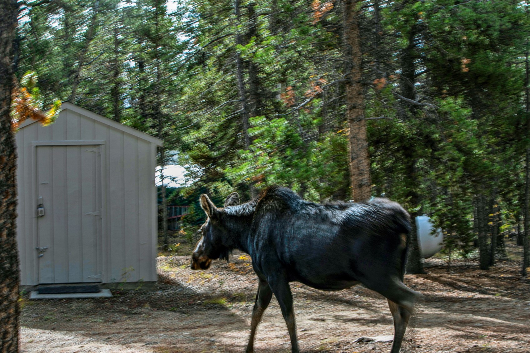 768 Coil Drive Property Photo 29