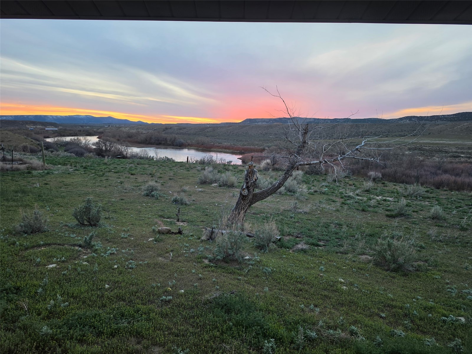 55775 Highway 318 Property Photo 47
