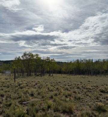 649 Vulture Lane Property Photo 9