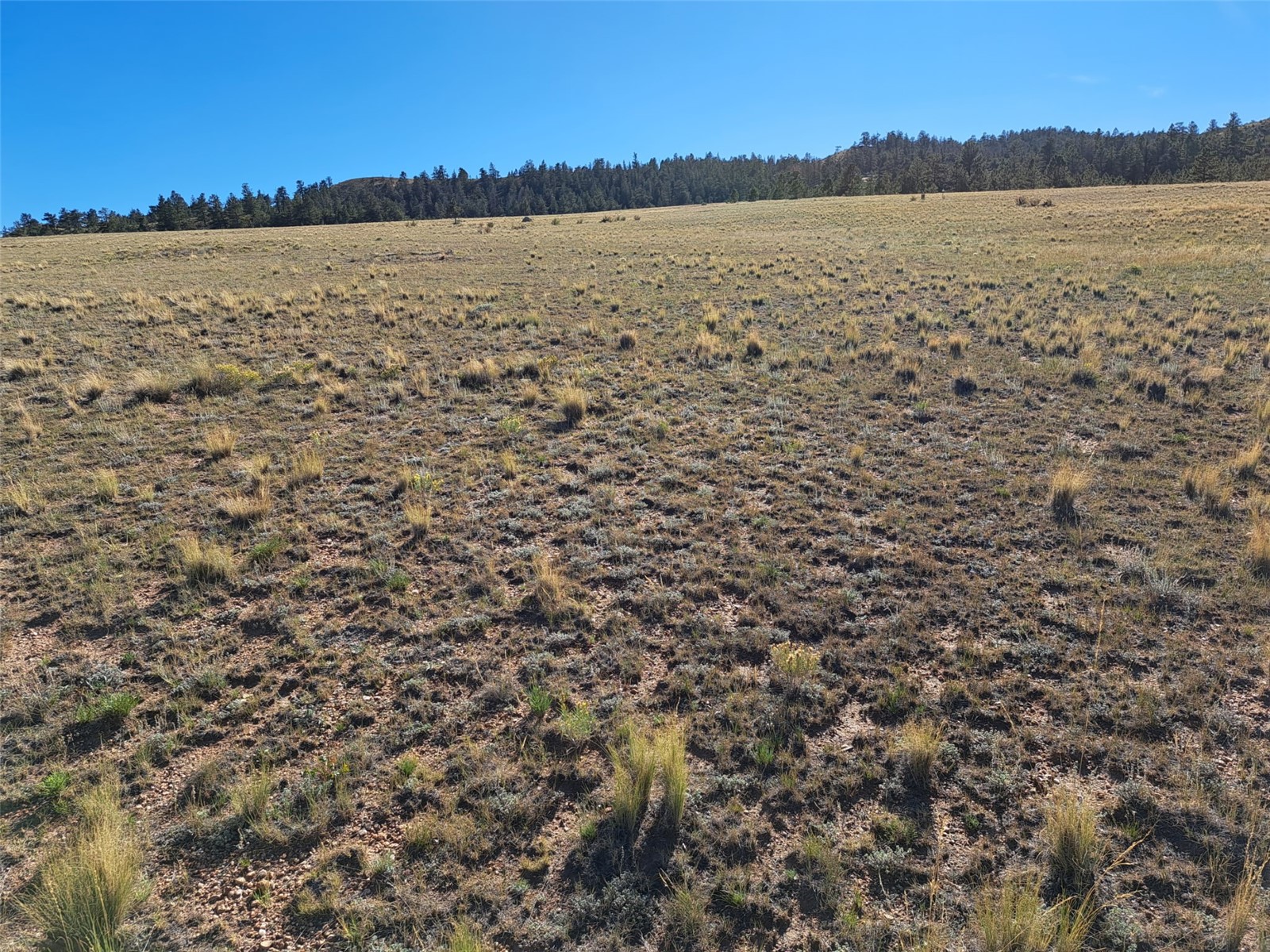 475 Summit Road Property Photo 1