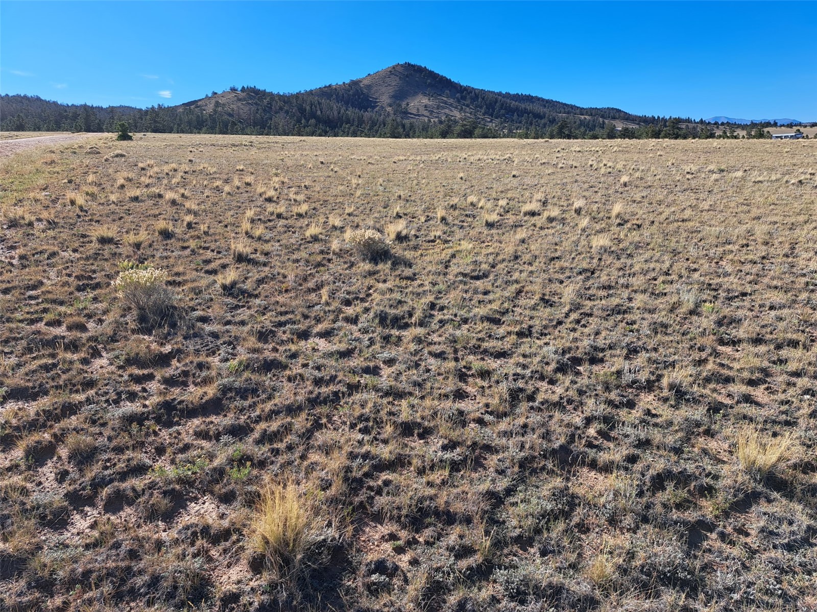475 Summit Road Property Photo 3