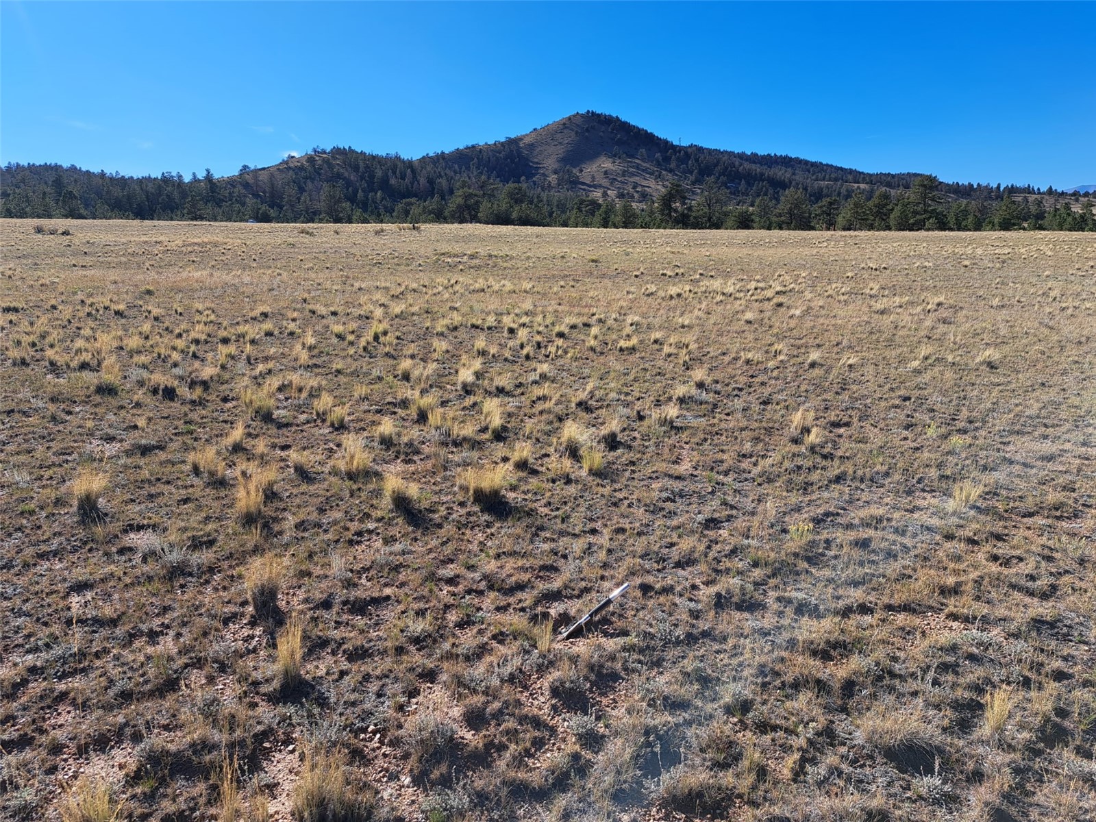 475 Summit Road Property Photo 10