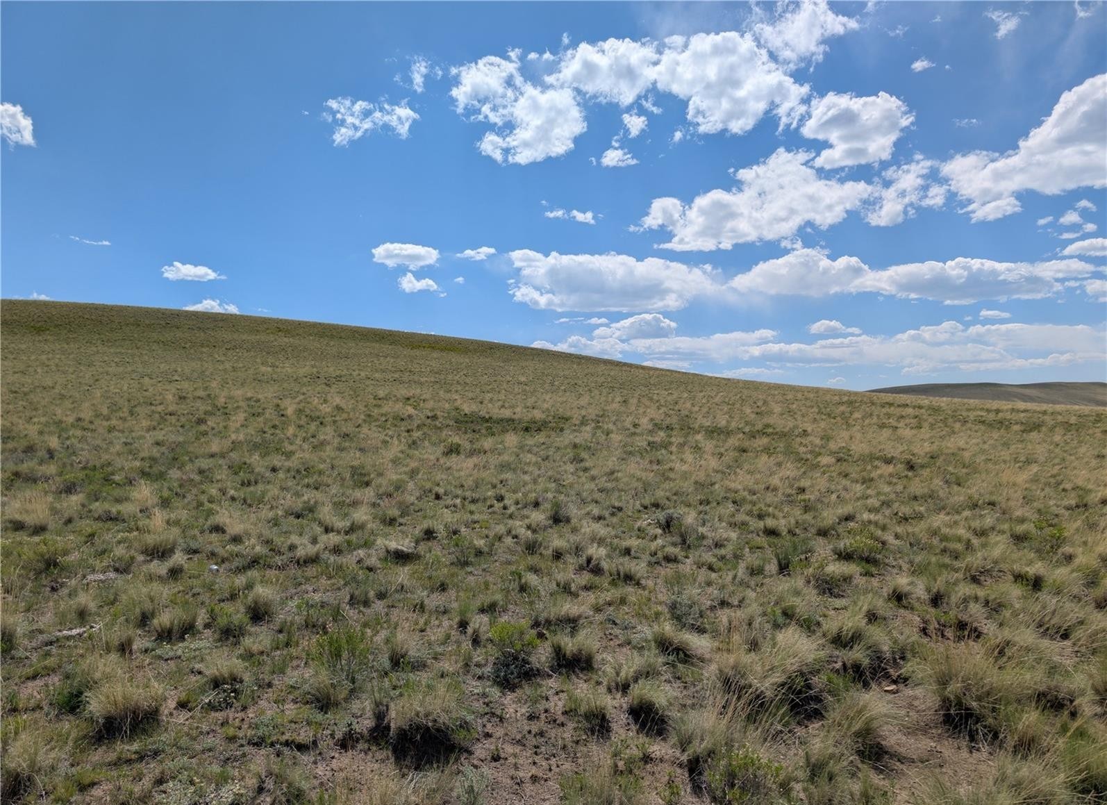 0 Wicaka Trail Property Photo 11