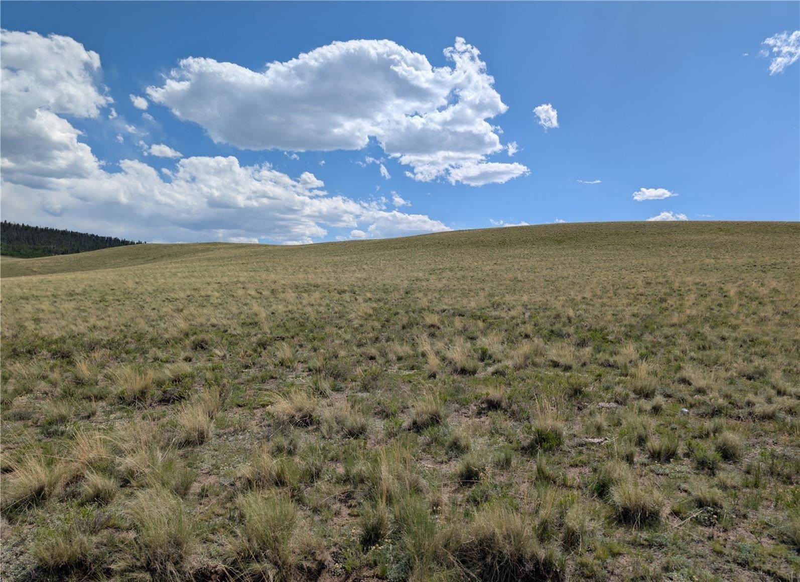 0 Wicaka Trail Property Photo 12