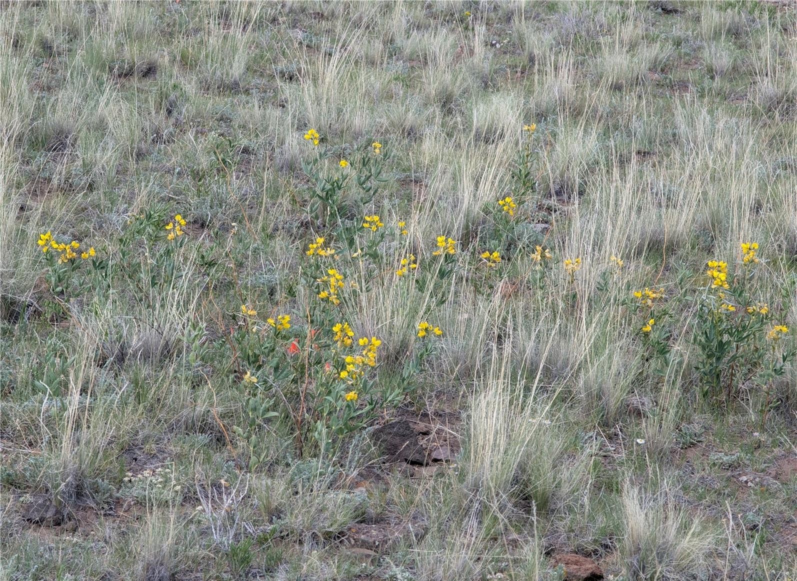0 Wicaka Trail Property Photo 18